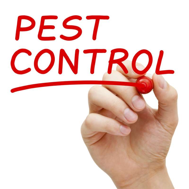 gopher pest control in Reston