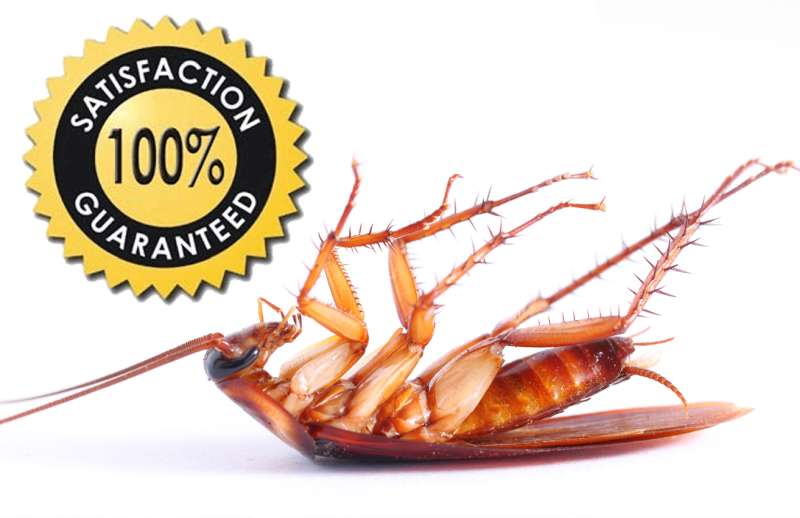 pest control specialists in Fairborn