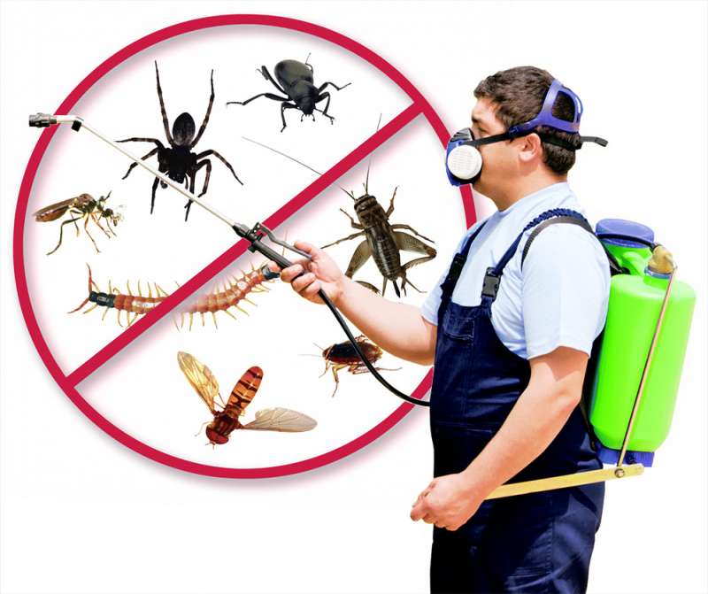 mosquito pest control in Flagtown