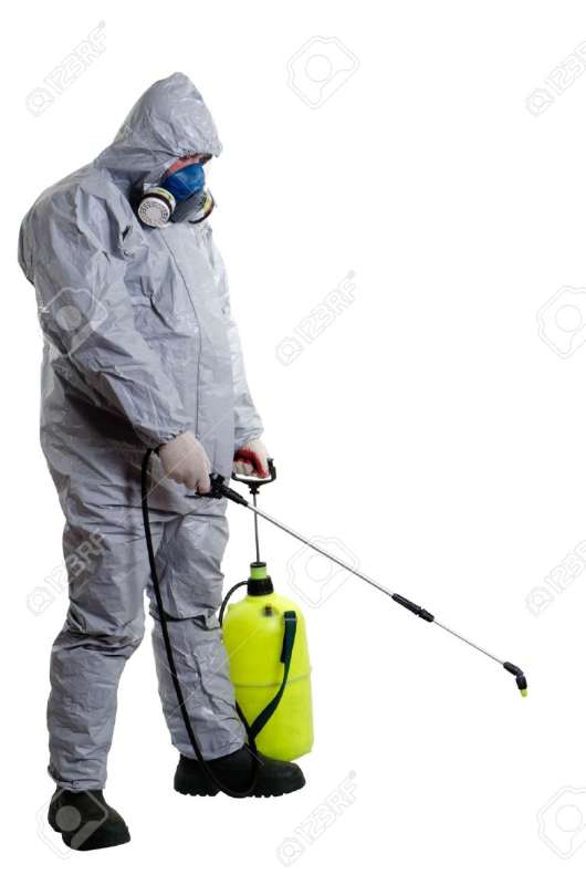 cheap pest control services in Granite Quarry