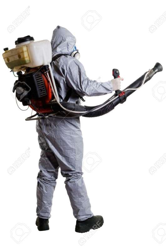 colonial pest control in Gladstone 24 hour rodent removal in Gladstone
