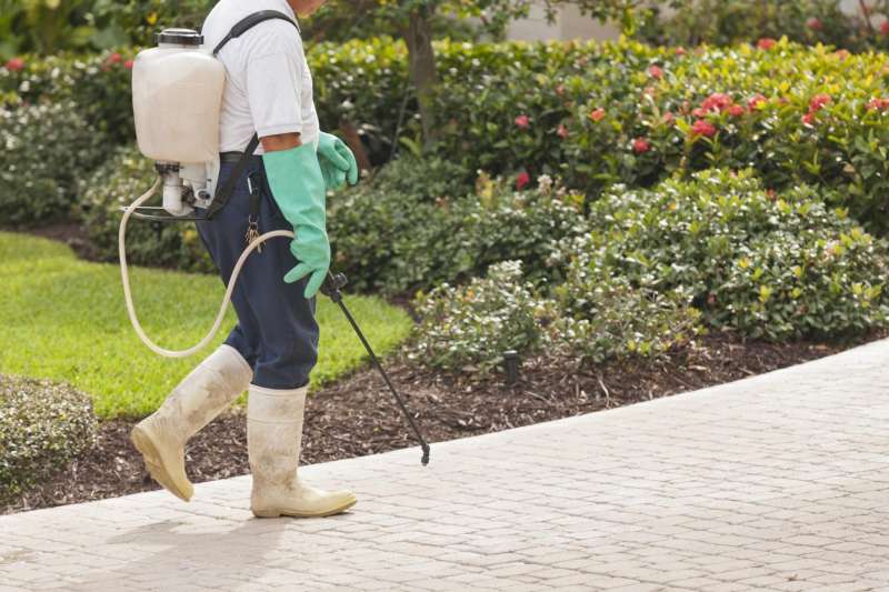 cockroach pest control in Elmer