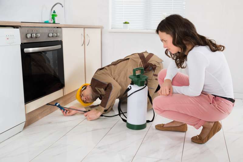 commercial pest control companies in Canadys
