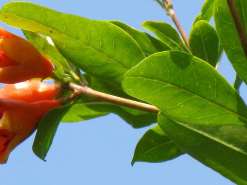 pest services company in Xenia suburban pest control in Xenia