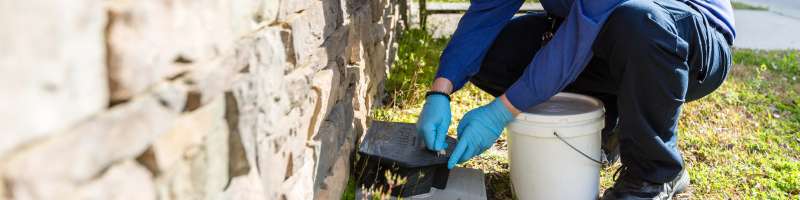 pest exterminators in Caldwell