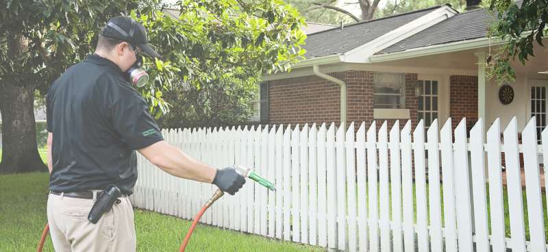plant pest control in Pacoima