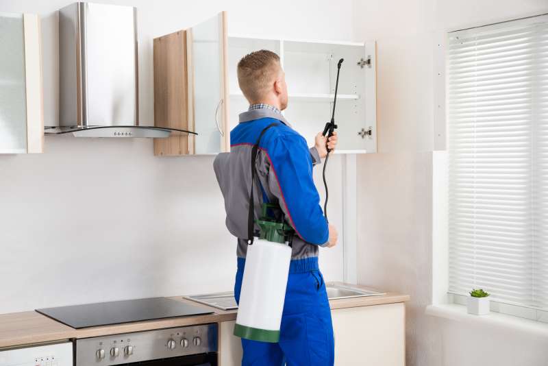 pest free pest control in North Dartmouth termite pest control service in North Dartmouth