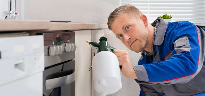 bug off pest control in Lewisville