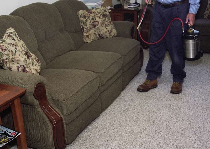 environmentally friendly pest control in Old Mission orange pest control in Old Mission