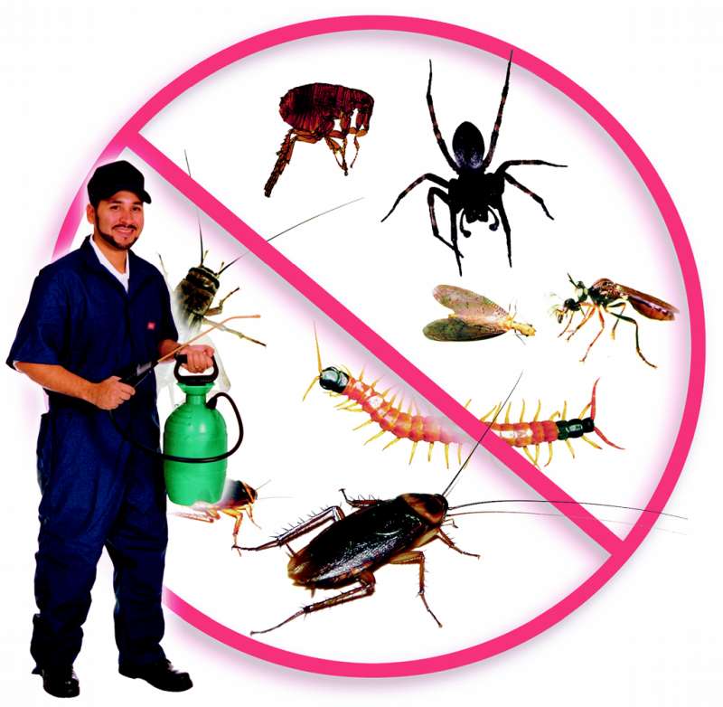 pest services in Duke