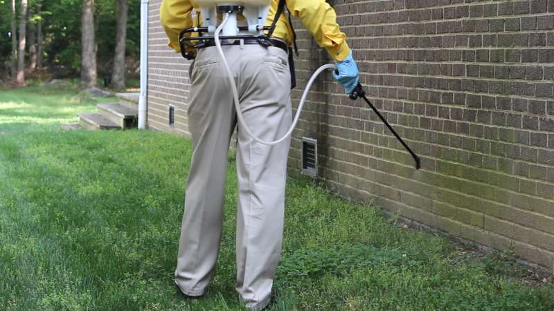 24 hour rodent removal in San Diego
